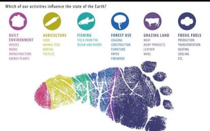 ecological-footprint