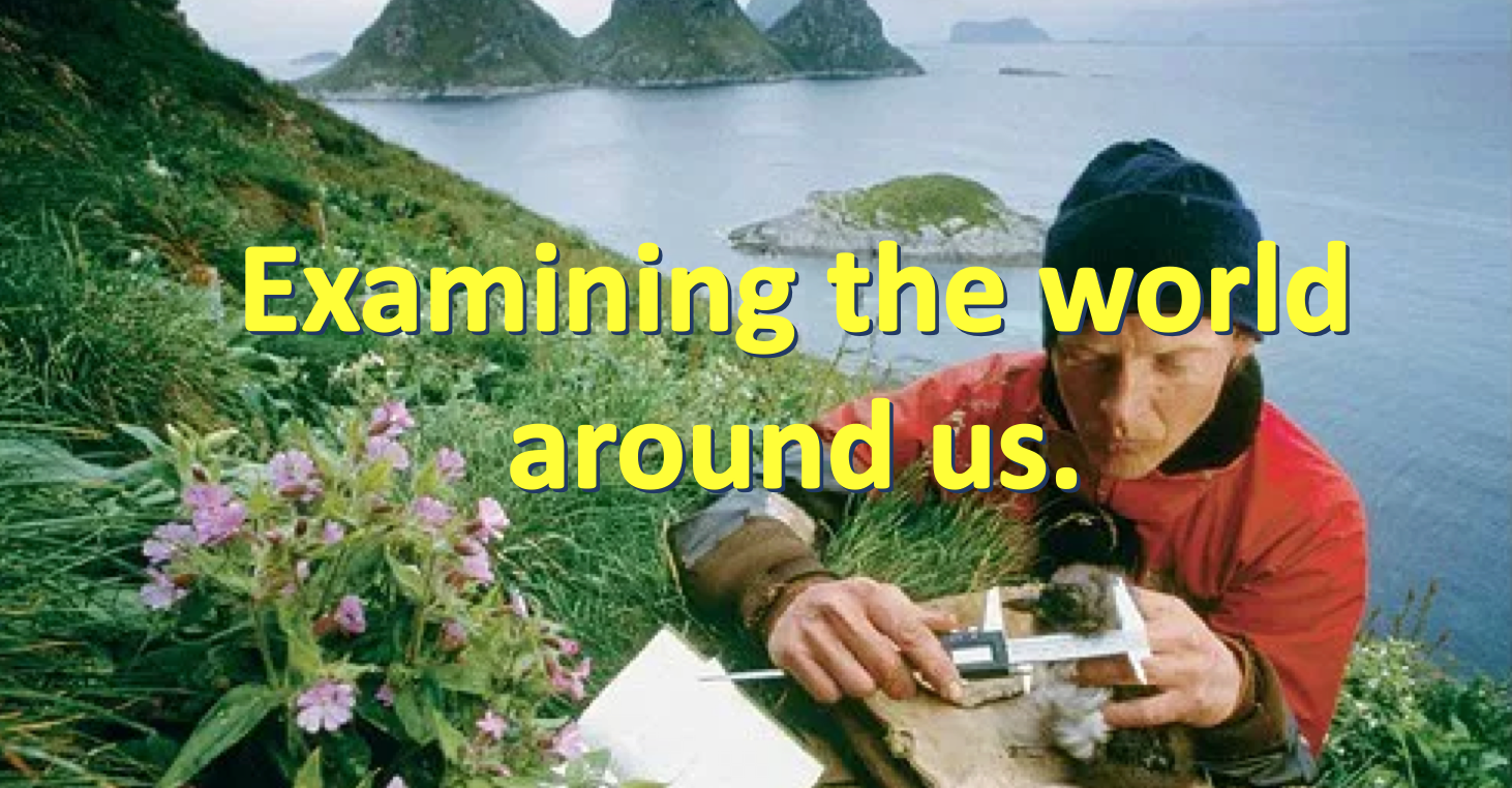 Screen Shot 2018-10-07 at 8.04.30 PM