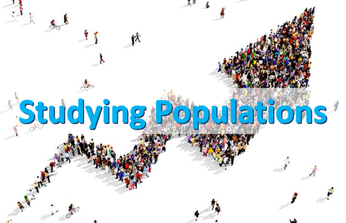 Screen Shot 2018-10-16 at 8.46.46 PM