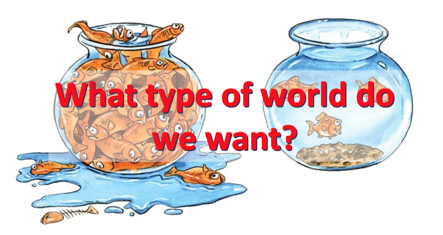 Screen Shot 2018-10-22 at 8.49.24 PM