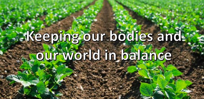 Screen Shot 2019-02-11 at 7.59.35 AM